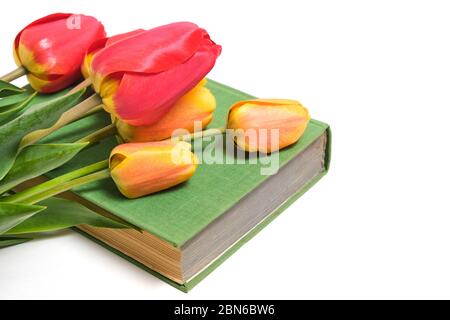 Tulips on an old green book on a white background Stock Photo