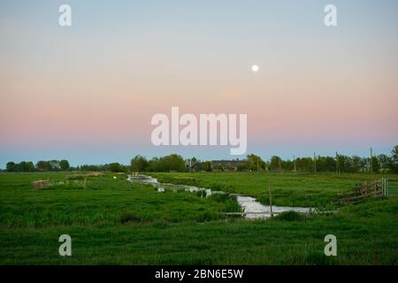 Moonrise over the picturesque Dutch countryside. Pink colored earth shadow, also known as Belt of Venus, in the background. Stock Photo