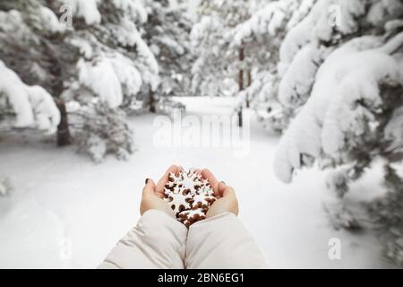 Girl holding ginger bread cookies in winter forest at Christmas time Stock Photo