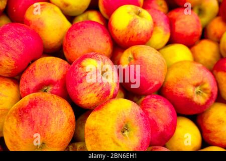 pink and yellow apples on the market background or texture Stock Photo