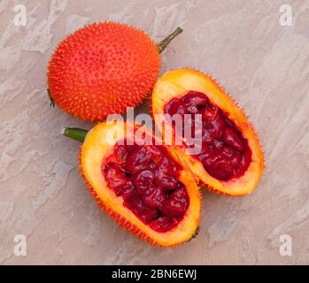 Thailand: Gac fruit (Momordica cochinchinensis), Chiang Mai, northern Thailand.  Gấc (Momordica cochinchinensis), originally discovered in Vietnam, is Stock Photo