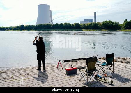 Mechtersheim, Germany. 13th May, 2020. A fisherman casts his line on the Rhine. In the background you can see the two cooling towers of the Philippsburg nuclear power plant. The blasting of the two cooling towers is imminent. The blasting is to take place within a time window of 48 hours between 14 and 15 May. Credit: Uwe Anspach/dpa/Alamy Live News Stock Photo