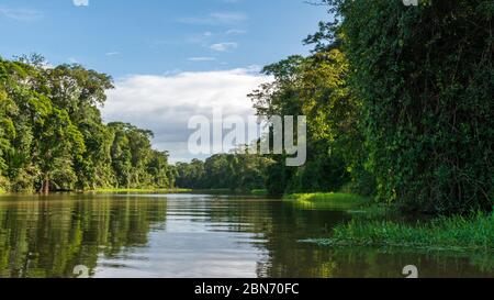 Tortuguero River and Jungle, Tortuguero NP, Costa Rica Stock Photo