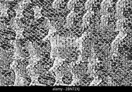 Distress snake skin grunge texture. EPS 8 vector illustration. Black and white background. Stock Vector