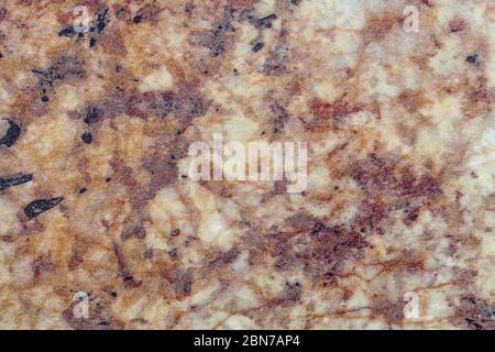 Texture of dark brown marble with pattern, macro background. Umber stone backdrop from mineral tile, closeup. Stock Photo