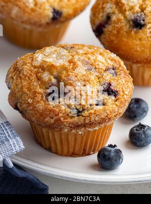 Closeup of a blueberry muffin and fresh berries on a white plate Stock Photo