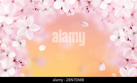 Beautiful print with blossoming light pink sakura flowers Stock Vector