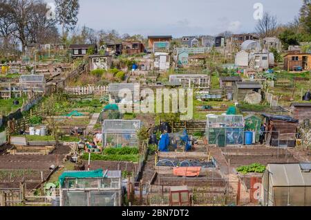 Public enjoy the quiet of their allotments in Edinburgh this Easter Sunday, amid the Covid-19 pandemic which has affected the whole of Scotland.  Credit: Euan Cherry Stock Photo