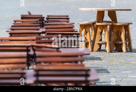Dresden, Germany. 13th May, 2020. A sparrow sits on a chair in a beer garden on the Neumarkt. Under strict hygiene conditions, restaurants in the Free State are allowed to reopen from 15 May. Credit: Robert Michael/dpa-Zentralbild/dpa/Alamy Live News Stock Photo