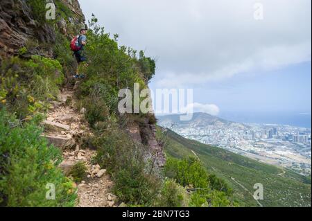 Devils Peak in Table Mountain National Park, Cape Town, South Africa offers urban hiking trails like this route via Mowbray Ridge up Devil's Peak. Stock Photo