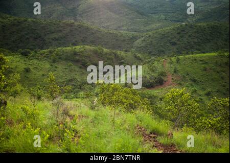 Ithala Game Reserve is a protected area in KwaZulu-Natal Province, South Africa home to a variety of wildlife and scenic landscapes. Stock Photo