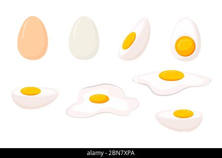 Cartoon egg isolated on white background. Set of fried, boiled, half, sliced eggs. Vector illustration. Eggs in various forms. Stock Vector