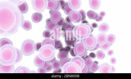 3d rendered illustration of human cells isolated on white background Stock Photo