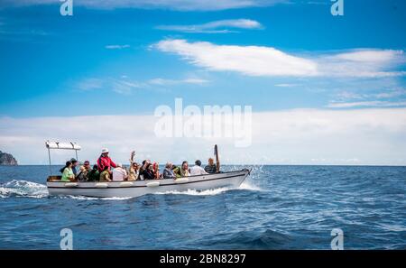 Holidaymakers enjoying a boat trip near the island of Corfu, Greece. Stock Photo