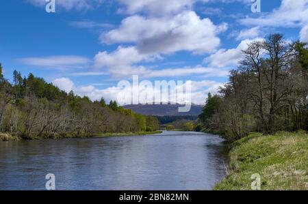 SPEYSIDE WAY RIVER SPEY SCOTLAND VIEW DOWN THE RIVER TO SNOW COVERED BEN RINNES IN EARLY SPRING Stock Photo
