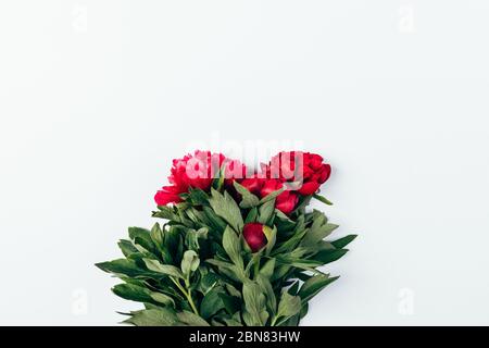 Simple freshly cut bunch of pink peony flowers with green leaves on white background with copy space, flat lay. Stock Photo