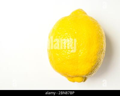 A single lemon isolated on a white background with copy space Stock Photo