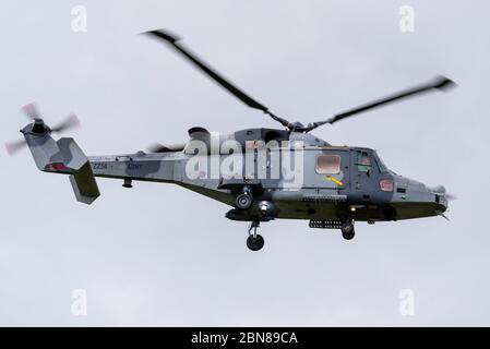 British Army Air Corps Westland Wildcat helicopter. AgustaWestland AW159 Wildcat ZZ110. Design based on Lynx. Passing through Southend Airport Stock Photo