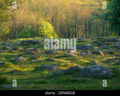 Fields of boulders called Bachanowo, a post glacial landscape. Suwalski landscape park, Podlaskie, Poland Stock Photo