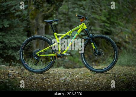 whyte t130sr