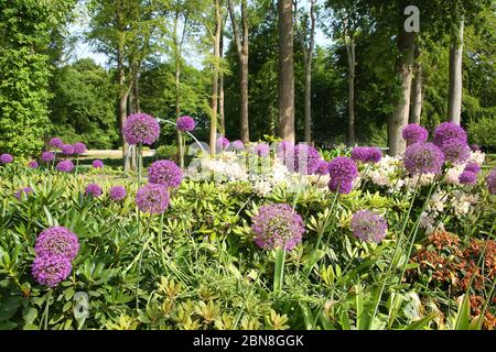 Traditional formal public garden, in bloom in the summer, located near Kvaerndrup, in the south of the island of Funen, Denmark. Stock Photo