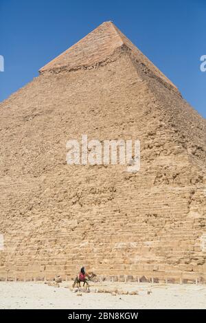 Riders with Camels, Khafre Pyramid (background), Great Pyramids of Giza, UNESCO World Heritage Site, Giza, Egypt Stock Photo