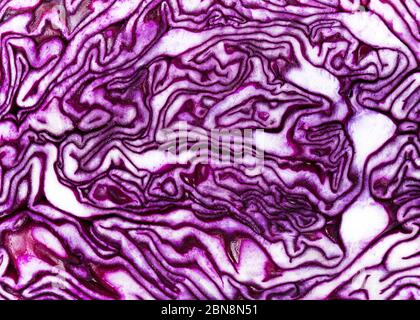 Beautiful background of the raw purple cabbage in the cut. Abstract nature texture. Top view. Stock Photo