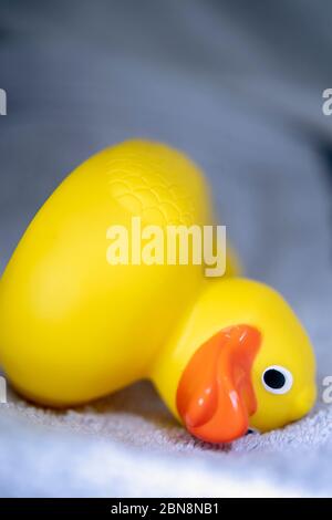 Yellow toy duck resting on a bath towel Stock Photo