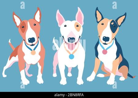 Vector set of Bull Terrier dogs of different typical colors Stock Vector