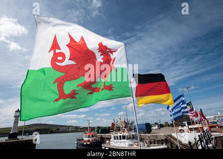 The Red Dragon Flag of Wales Y Ddraig Goch Stock Photo