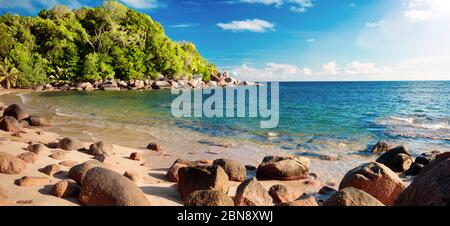 Palm and tropical beach. Vacation holidays travel concept  background wallpaper. Beach and sea. Summer holiday and vacation concept for tourism. Inspi Stock Photo