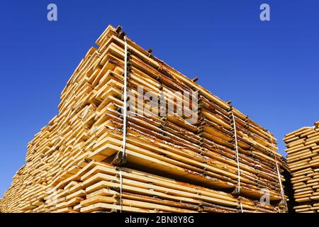 large stacks of wooden planks at the sawmill yard on the blue sky background Stock Photo