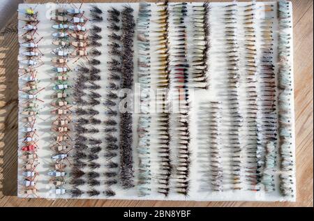 Selection of trout fishing flies in a white foam fly box Stock Photo - Alamy