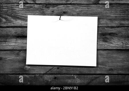 White sheet of paper nailed to a rusty nail a wooden wall in black and white. Stock Photo