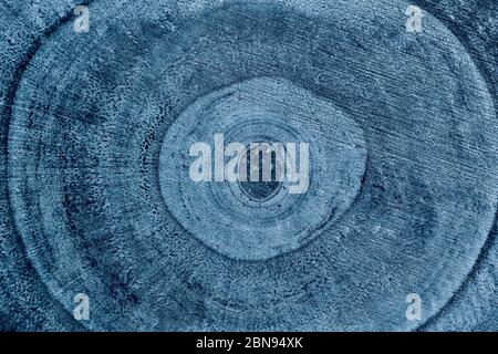 Wooden detailed texture of cut tree trunk or stump, closeup. Rough organic tree rings. Wood texture background. Tree trunk cross-section. Top view, ma Stock Photo