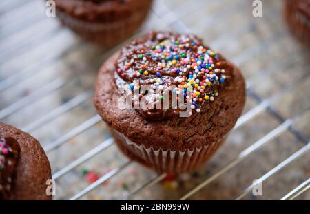 Homemade chocolate cupcakes with icing and sprinkles baked as project Stock Photo