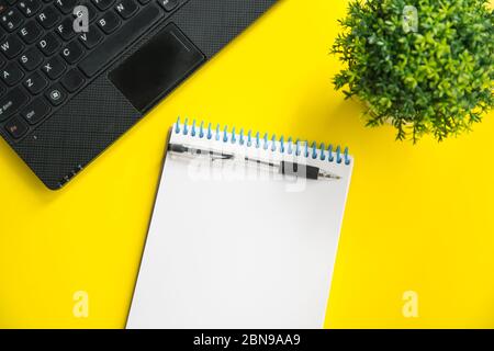 Flat lay mockup of laptop, green plant, pen and notepad on yellow background. Planning concept with copy space Stock Photo