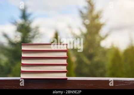 Collection of different books on blurred green background, space for text Stock Photo