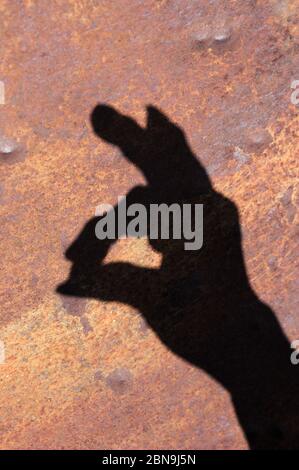 The shadow of a hand forms the head of a rabbit on a brown wall Stock Photo