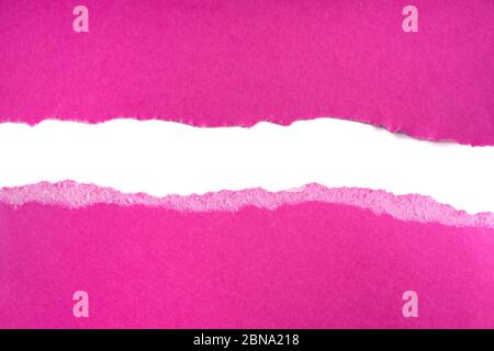 Ripped pieces of purple paper isolated on white background. Paper piece torn edge. Rip sheet paper tears. Copy space, frame, banner Stock Photo