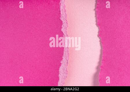 Torn ragged purple paper edges on pink background. Ripped cracked paper piece edge with soft shadow. Copy space, frame, banner Stock Photo