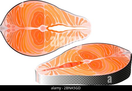 Salmon raw steak red fish top and perspective view vector Stock Vector