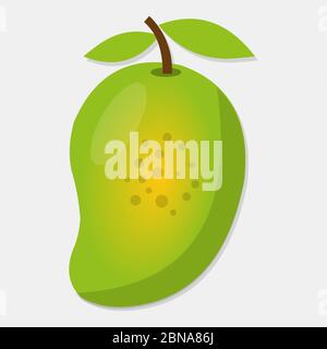 fresh mango fruit. isolated vector illustration. Stock Vector