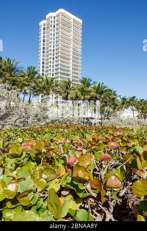 Miami Beach Florida,North Beach,Ocean Terrace,St. Tropez Ocean Front high rise residential condominium building,FL200217075 Stock Photo