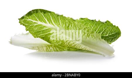 Romaine Lettuce Isolated on White Background Stock Photo