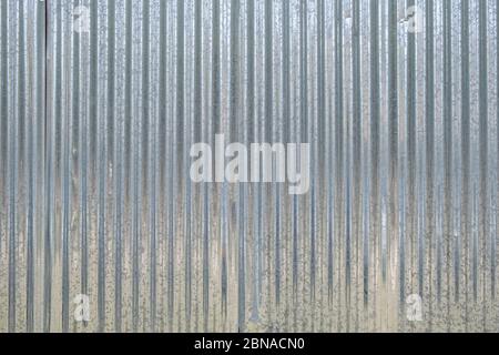 Metal sheet background, texture. Corrugated galvanized aluminum profile for fence, wall or roof construction Stock Photo