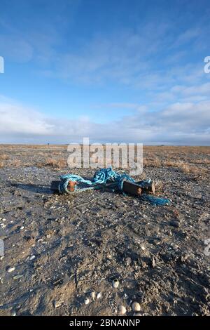 A piece of rope washed up on the beach covered with algae. The Netherlands. Unesco world heritage. Stock Photo