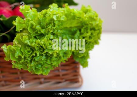 Green lettuce leaves in a vegetable basket. Salad set on a white table with place for text. Stock Photo