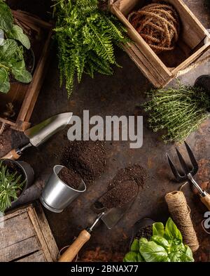 Spring garden works concept on grungy dark background Stock Photo