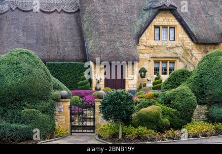 Thatched cottage with well manicured front garden in Winter, in the Cotswolds town of Chipping Campden, UK Stock Photo